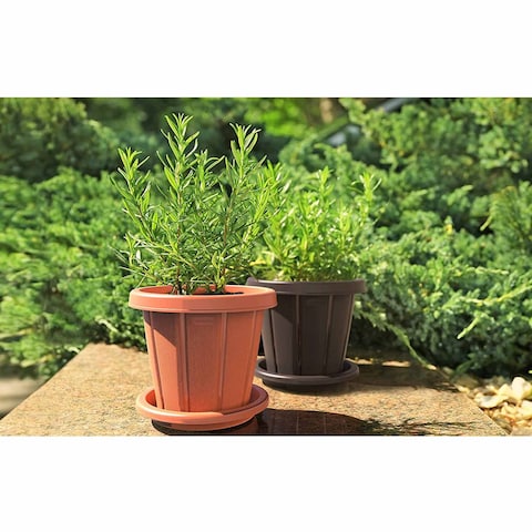 Cosmoplast Cedargrain Flower Pot With Tray Dark Brown 8inch