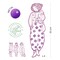 Djeco Rosemary And Friends Les Demoiselles Colouring