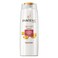 Pantene Pro.V Coloured Hair Repair &amp; Shine Shampoo 400 ml