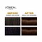 L&#39;Oreal Paris Excellence Creme Hair Color - 4 Brown