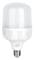 Terminator E27 LED Bulb - 30W White
