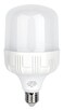 Terminator E27 LED Bulb - 30W White