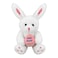 Party Magic Bunny Soft Toy with Egg White- 23 cm Size