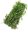 Inhouse Expandable Wicker Large Fence With Faux Plants, 1.2 Metre, Green