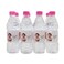 Ultra Baby Pure Bottled Drinking Water 500ml&times;12