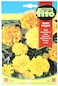 Fito French Marigold Dwarf Mix-545