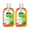 Dettol Antiseptic Antibacterial Disinfectant Liquid, 500ml x 2