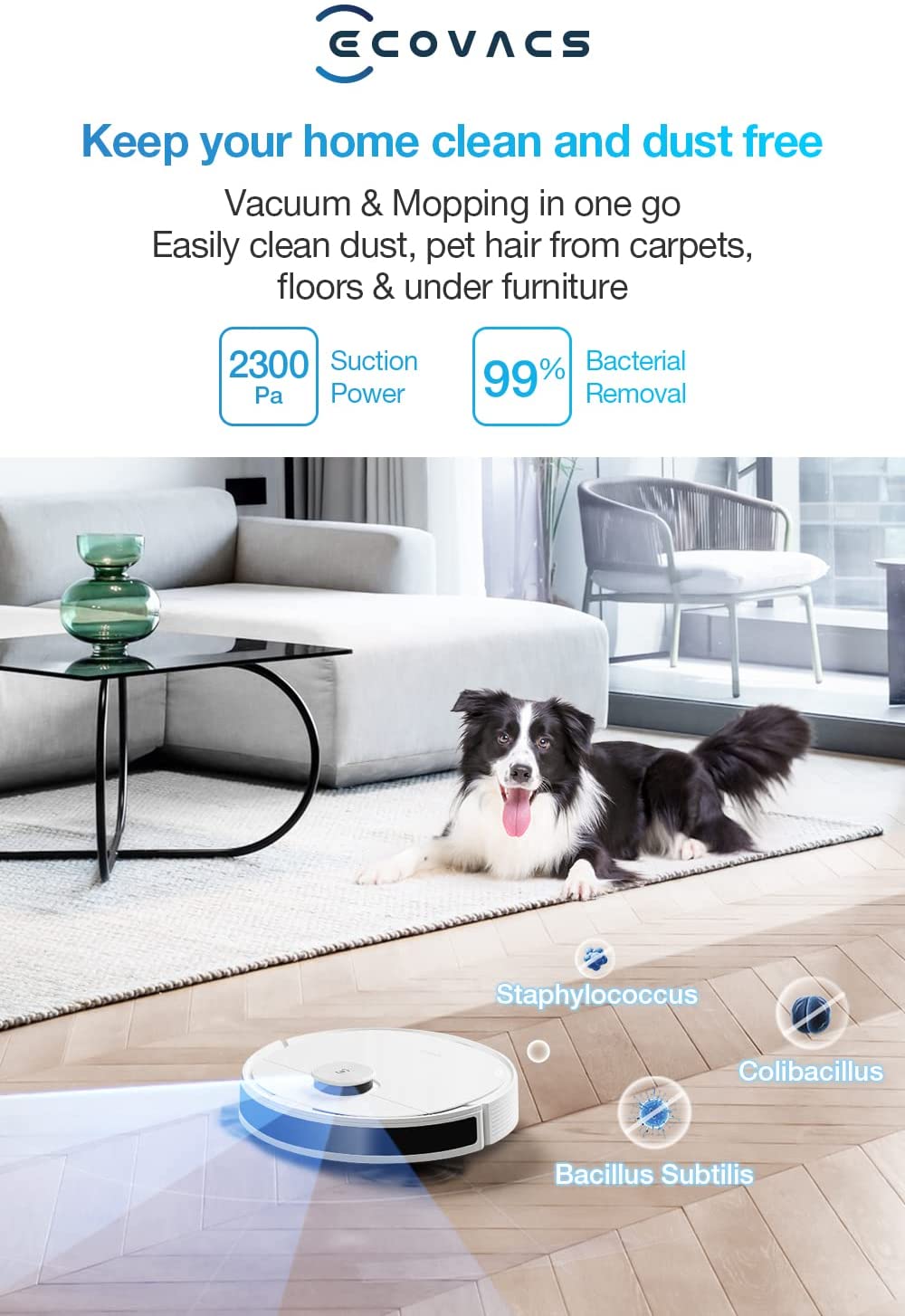 Ecovacs Robot Vacuum Cleaner Deebot N8+ And Mop With Auto-Empty Station, Powerful 2300Pa Suction, Advanced Laser-Based Lidar Navigation, Multi-Floor Mapping (1 Year Warranty)