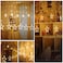 2.5m Curtain String Lights with 8 Flashing Decoration(12 Stars, Warm white)