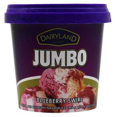 Dairyland Blueberry Swirl Ice Cream Jumbo 175ml
