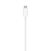 Apple MagSafe Charger White