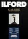 ILFORD GALERIE Prestige Textured Cotton Rag - A4 - FineArt Cotton - 310 gsm (Cut-Sheet Pack)