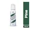 Fogg Master Pine Body Spray For Men - 120ml