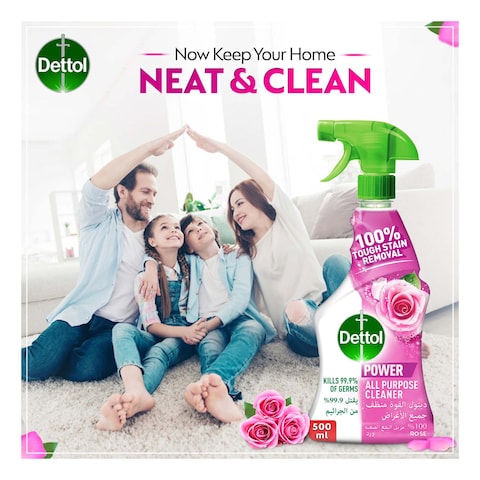 Dettol Healthy Kitchen Power Cleaner Rose 500ml