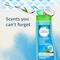 Herbal Essences&nbsp;Hello&nbsp;Hydration&nbsp;Moisturizing Conditioner With Coconut Essences,&nbsp;360ml