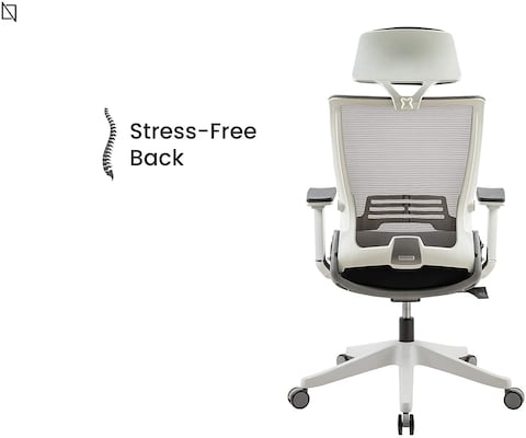 KIKO Chair, Ergonomic Folding Design, Premium Office &amp; Computer Chair by Navodesk (BLACK)