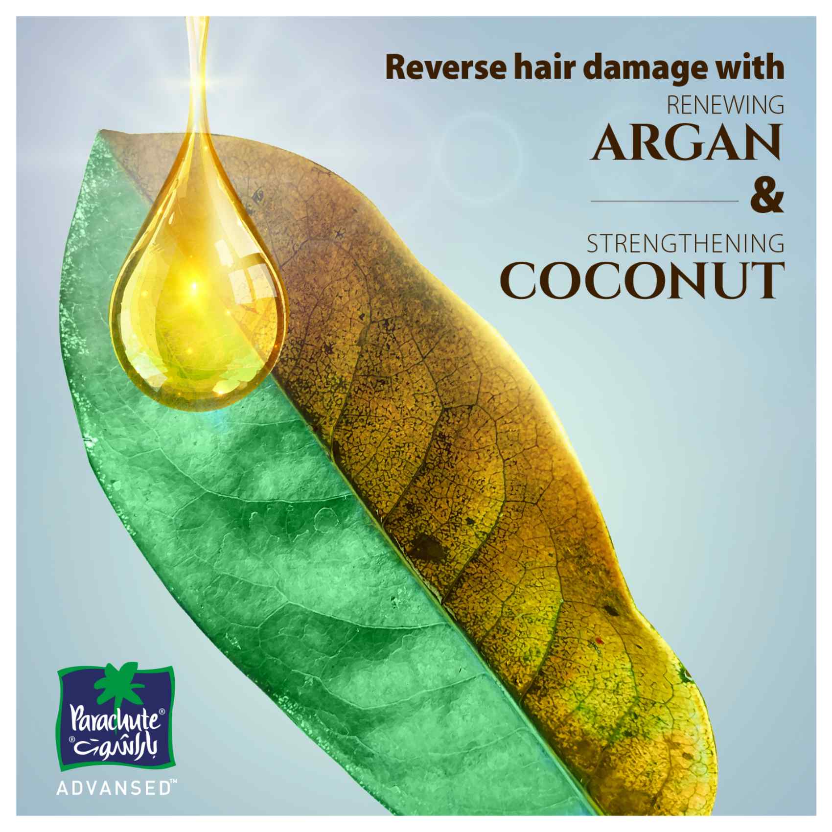 Parachute Advanced Argan Enriched Coconut Hair Oil Gold 300ml