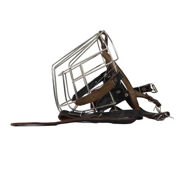 تراست واقي حديد لفم الكلاب