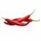 Red Chilli