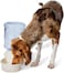 ASPEN PET LEBISTRO WATERER 2.5 GAL ~ BLEACHED LINEN