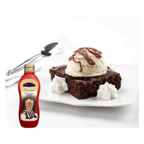Dairyland Chocolate Dessert Topping Sauce 650g