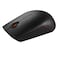 Lenovo 300 Wireless USB Compact Mouse Black