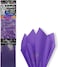 Party Time 10-Pieces Purple  Tissue Gift Wrap, 10 Sheets Gift Wrapping Paper for Home, Kitchen, Weddings, Birthday Party, Showers, Arts Crafts, DIY - Party Supplies