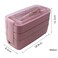 Aiwanto 2Pack Lunch Box Food Box 3Layer Lunch Box for Kids Office Tiffin Box