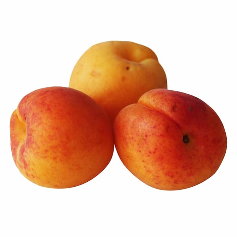 Apricot