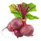 Beetroot Local Bunch