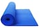 RAG&amp;SAK - Yoga Mat With Cover 10 mm Thick 150 * 61 * 1CM Non Slip Exercise &amp; Fitness Mat for All Types of Yoga, Pilates &amp; Floor Exercises Blue