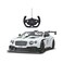 Rastar Radio Remote Control 1/14 Bentley Continental GT3 Assorted