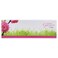 Hankies Garden Facial Tissues 150 Sheets x 2 Ply