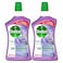 Dettol 4-In-1 Antibacterial Power Floor Cleaner Lavender 900ml Pack of 2
