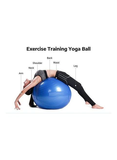 Fitness Pro Exercise Ball With Quick Pump 55Centimeter