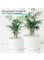 10-12mm Medium White Stones Polished Natural White Pebbles For Garden Landscaping Fish Tank Vase Filler Cactus Succulents Aquariums-20kg