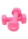 Generic 2-Piece Classical Head Dumbbell Set 2x2 Kg