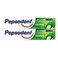 Pepsodent Action 123 Nature Essentials Herbal Toothpaste 190g Pack of 2
