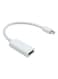 Generic Mini Display Port To HDMI Adapter, White