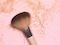 So Eco Cosmetic 12 Piece Brush Set &amp; Bag