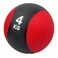 Tiger Swiss Ball 4KG