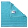 H&amp;B LUXURY FACE TOWEL MINT