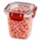 Dunya 30831 Master Square Deep Food Storage Container 575ml Red/Clear