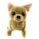 Pugs At Play Chili The Chihuahua Plush Toy Beige