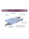 Generic Body Contoured U Shaped Pregnancy Pillow Cotton Light Blue 140x80centimeter