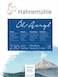 Hahnemuhle Oil &amp; Acrylic Paint Board: Oil &amp; Acrylic 230 gsm (Block) 30cm x 40cm