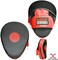 Max Strength Focus Punch Gloves Kick Mesh Curved Thai Boxing Pads