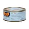 Rio Mare Light Meat Tuna In Water 160g