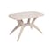 Nilkamal Shahensha Plastic Cross Table - Brown
