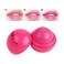 Lip balm Deep Moisturizing Fruit Flavor Lip Balm